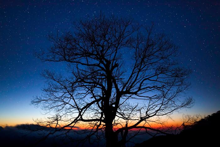 First Light in Shenandoah National Park